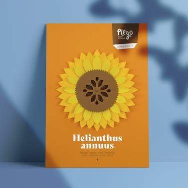 Plego Helianthus annuus | 8436043721480 | Librería Sendak