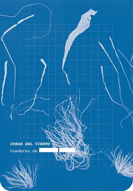 Cosas del viento | 9788418690761 | Anónimo | Llibreria Sendak