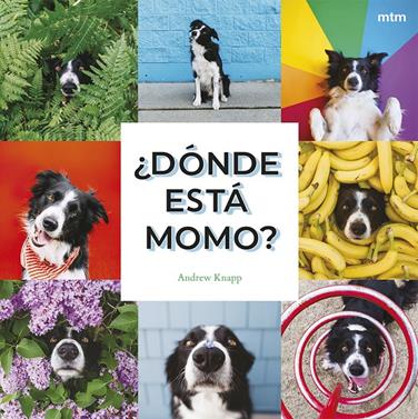 ¿Dónde está Momo? | 9788410407909 | Knapp, Andrew | Librería Sendak
