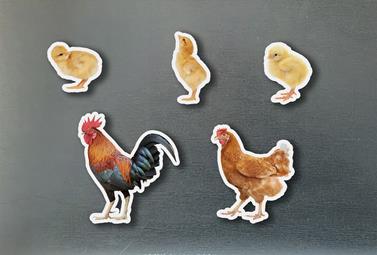 Magnètics famílies gallines | 0760412890964 | Llibreria Sendak