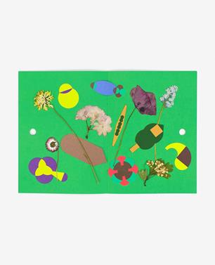 Herbier | 9791090475281 | Mellier, Fanette | Llibreria Sendak