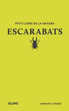 Petit llibre de la natura. Escarabats | 9788410268746 | Evans, Arthur V | Librería Sendak