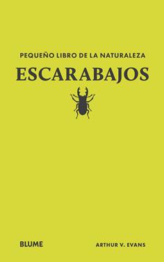 Pequeño libro de la naturaleza. Escarabajos | 9788410268739 | Evans, Arthur V | Librería Sendak