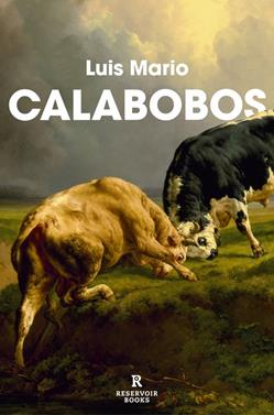 Calabobos | 9788410352094 | Luis Mario | Llibreria Sendak