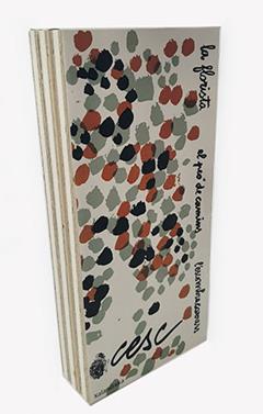 Estoig Cesc | 9788418558511 | Cesc | Llibreria Sendak