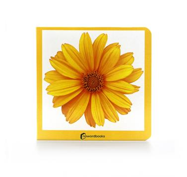 Amarillo | 9788412534429 | Nowordbooks | Librería Sendak