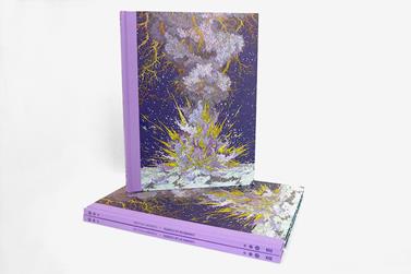 L'année de la comète | 9782901000075 | Vuillier, Clément | Llibreria Sendak