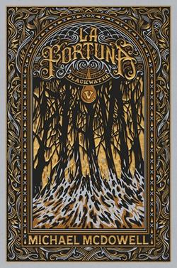 BLACKWATER V. La fortuna | 9788419654984 | McDowell, Michael | Llibreria Sendak